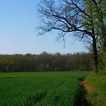 Roquepoix, Escale Au Pour Sillonner Le Gers Ferienhaus Mirepoix (Gers)