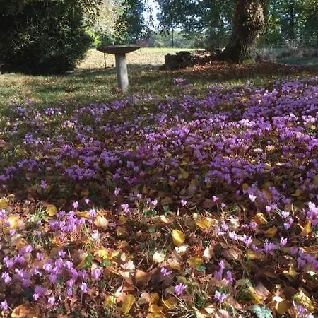 Ferienhaus Roquepoix, Escale Au Pour Sillonner Le Gers
