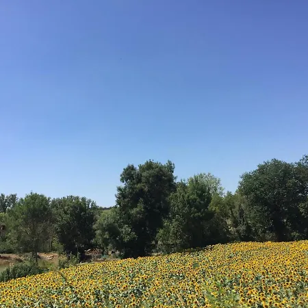 Ferienhaus Roquepoix, Escale Au Pour Sillonner Le Gers Mirepoix (Gers)