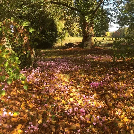 Roquepoix, Escale Au Pour Sillonner Le Gers Ferienhaus Mirepoix (Gers)