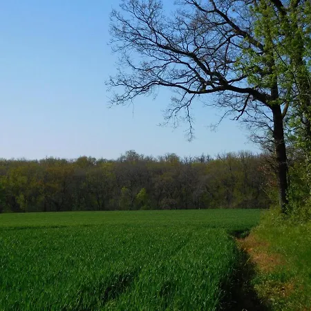 Roquepoix, Escale Au Pour Sillonner Le Gers Ferienhaus Mirepoix (Gers)